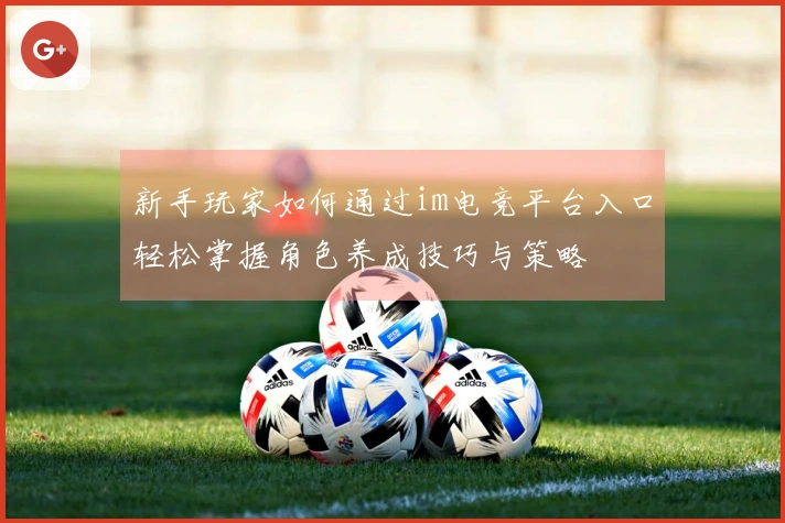 新手玩家如何通过im电竞平台入口轻松掌握角色养成技巧与策略